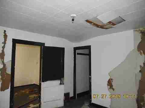 16737 Dolphin (18)_m.jpg